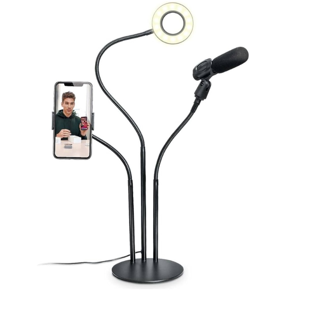 BowerBower 24 inch Flexible Ring Light Kit with Phone Holder 3 light color